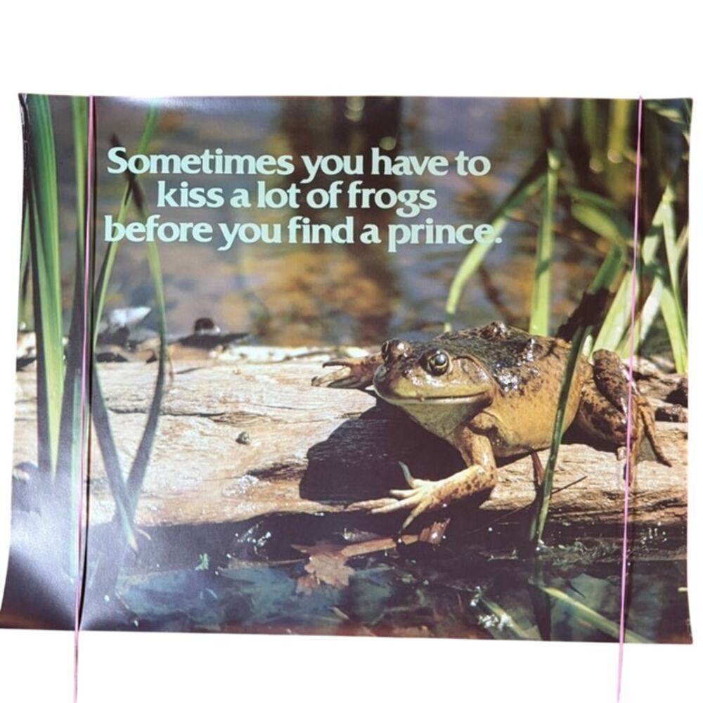 VTG 1970s Frog Poster: "Sometimes You Have to Kiss a Lot of Frogs" 16x20 Decor